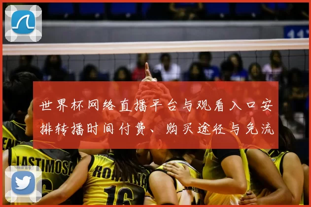 世界杯网络直播平台与观看入口安排转播时间付费、购买途径与免流方式