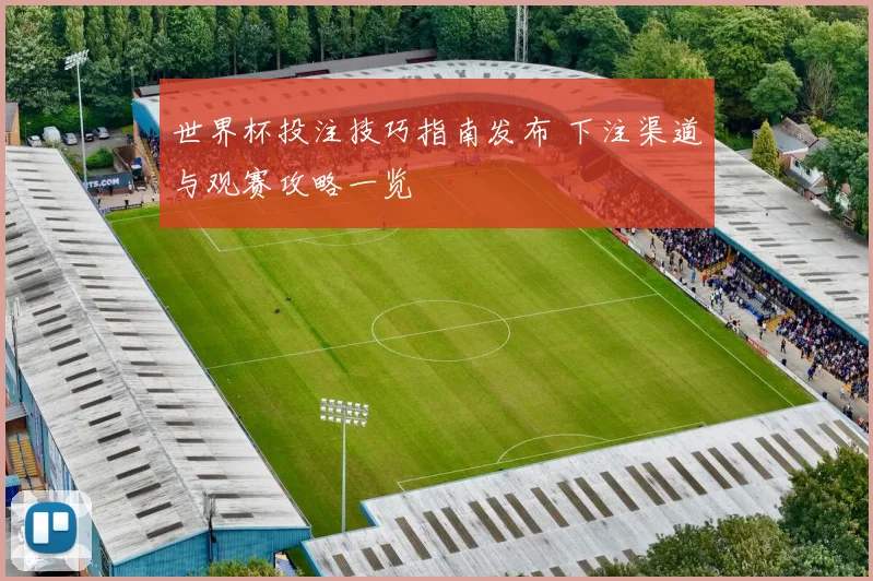 世界杯投注技巧指南发布 下注渠道与观赛攻略一览