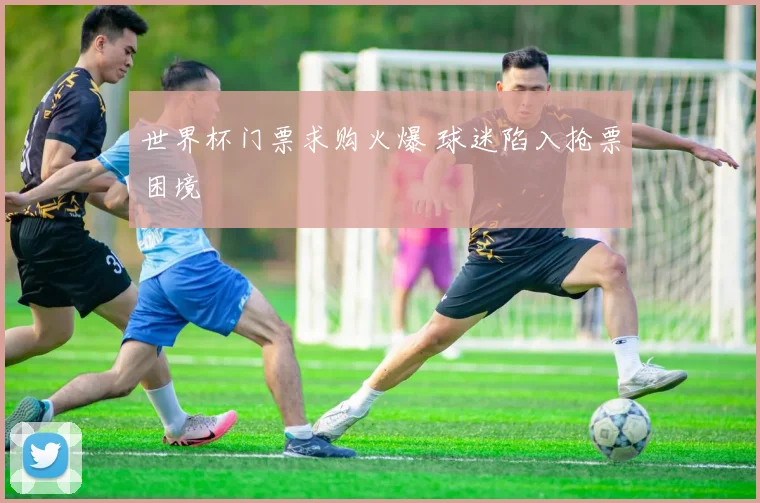 世界杯门票求购火爆 球迷陷入抢票困境