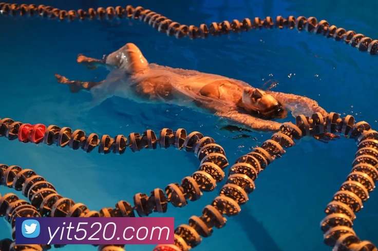 欧洲杯球星伤停影响球队首轮排阵与备战计划，主帅调整进攻与轮换方案